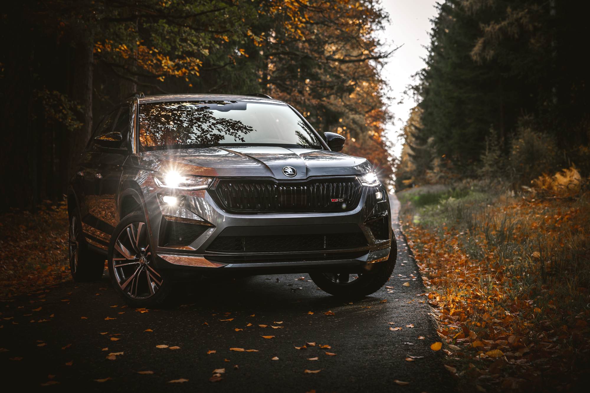 Skoda-Kodiaq-les-autmobilovy fotograf